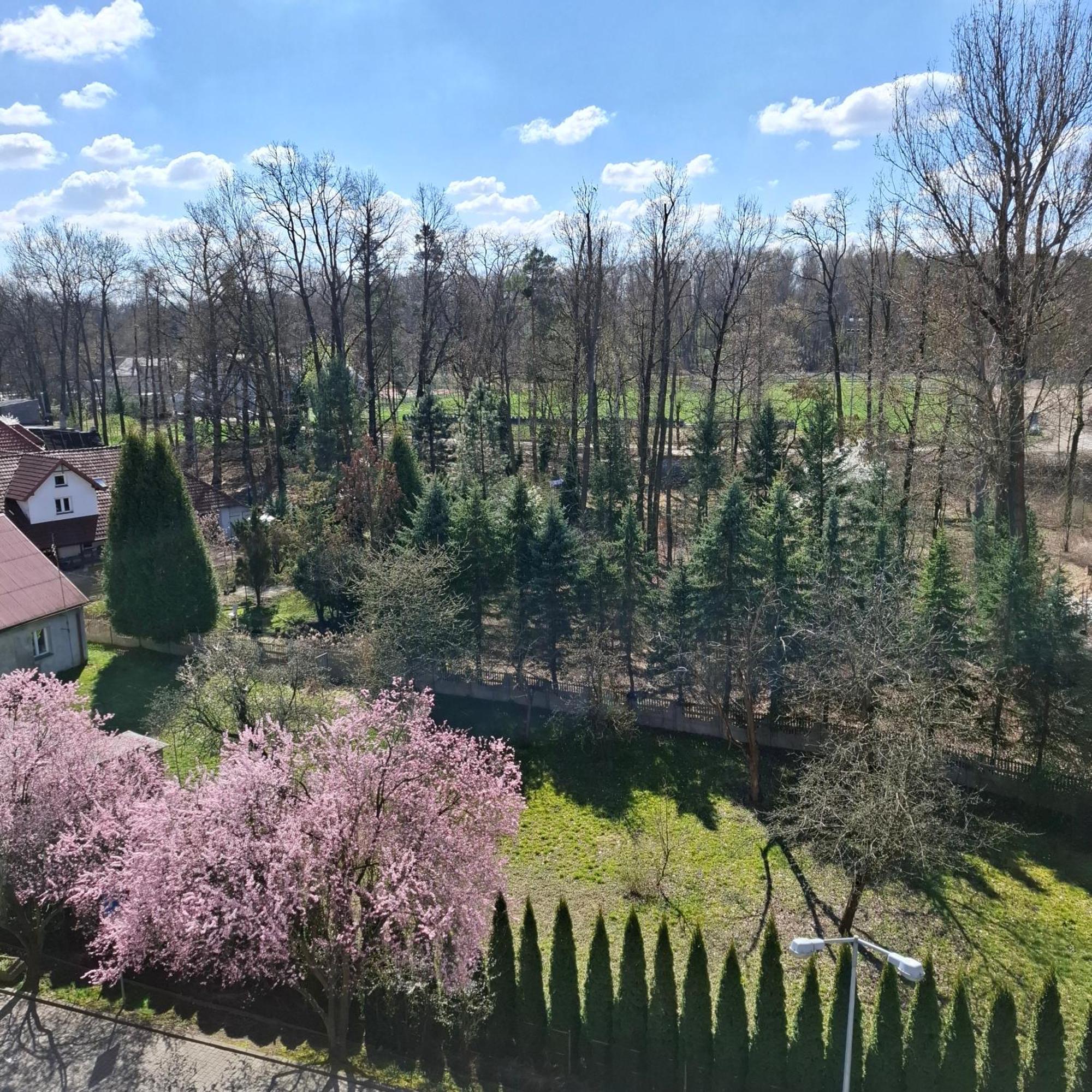 Apartament Pastelowy Krakow Luaran gambar